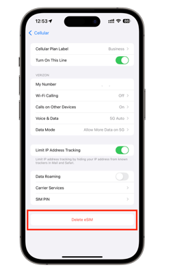 Erase esim from iPhone or iPad Step 2
