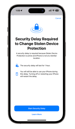 How to Remove Stolen Device Protection Step 2