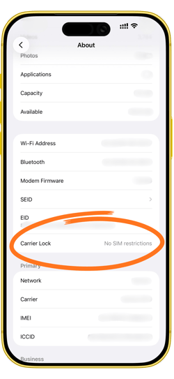iPhone Carrier Lock-1